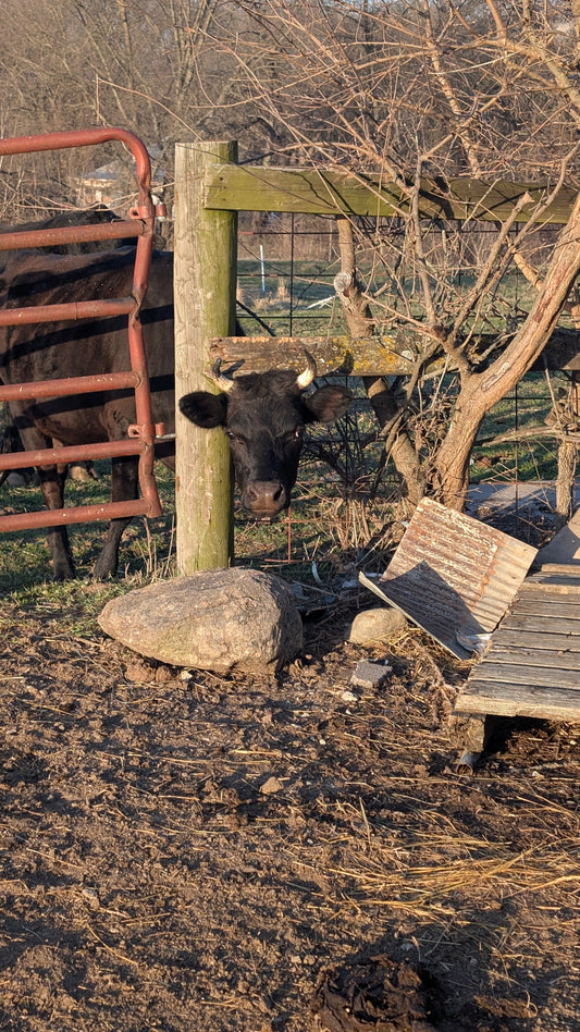 Frozen Troughs, Mindset Shifts, and Larson’s Favorite Word